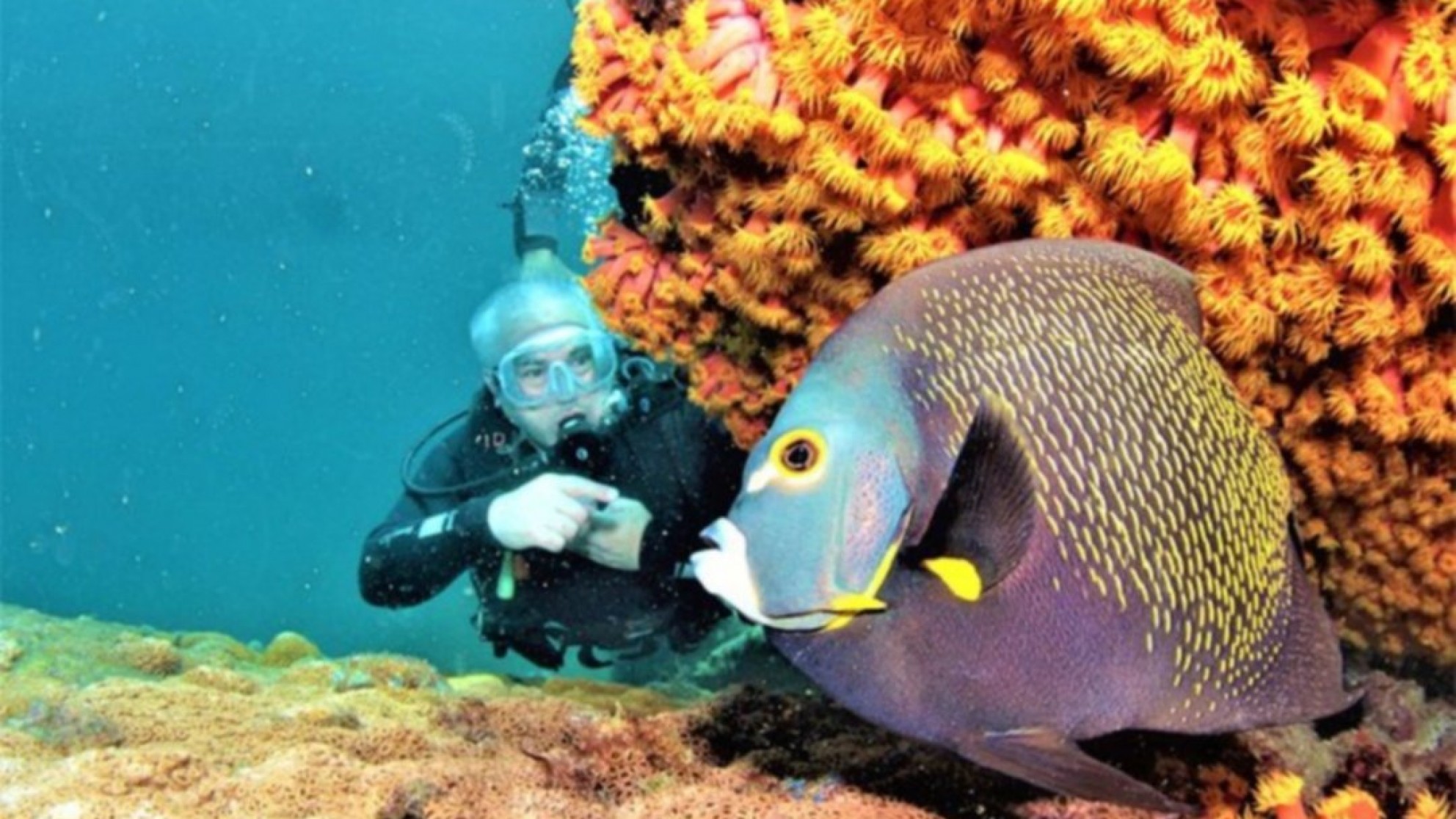 Brasil 2025:  los destinos brasileños perfectos para practicar buceo